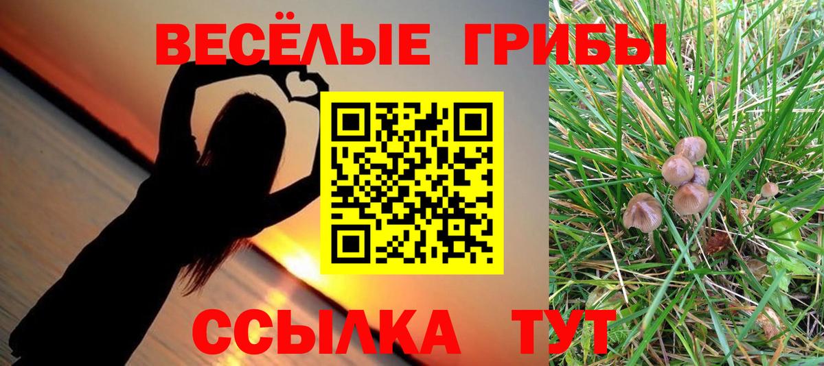Галлюциногенные грибы мухоморы  Вход с VPN  купить закладку  Городец  Галлюциногенные грибы MAGIC MUSHROOMS 